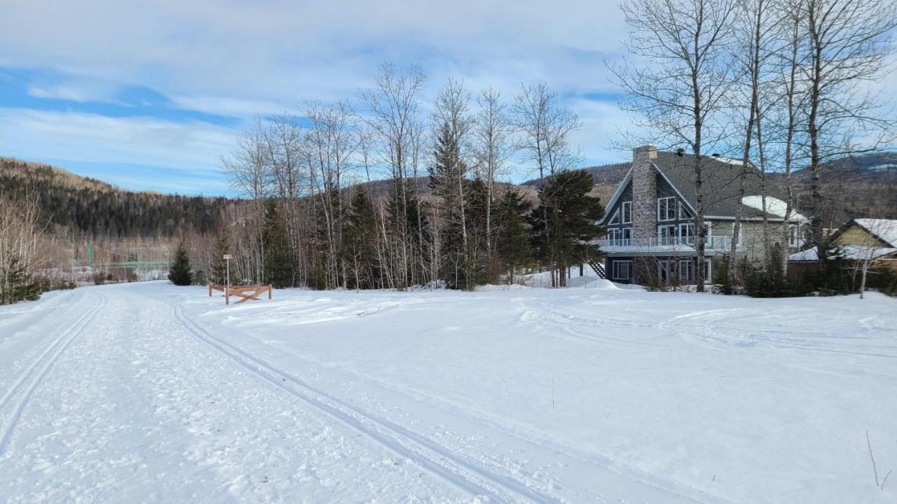 Condo-Chalet De La Vallee D'Edouard L'Anse-Saint-Jean Exterior photo