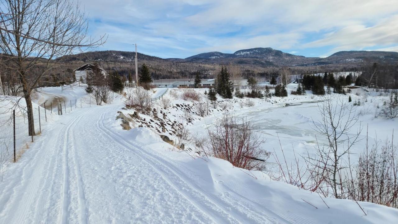 Condo-Chalet De La Vallee D'Edouard L'Anse-Saint-Jean Exterior photo